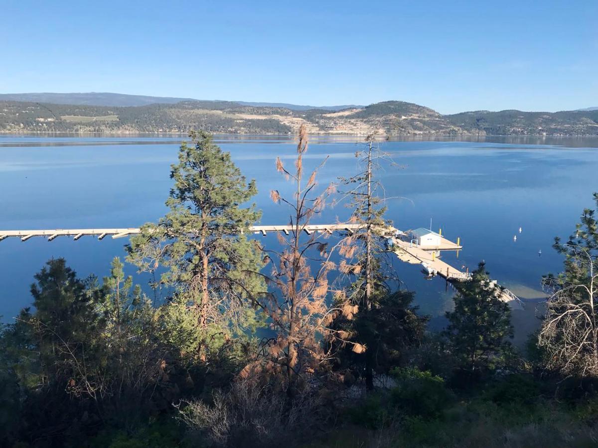 Cozystay Signature Lake Okanagan Resort Келоуна Екстер'єр фото